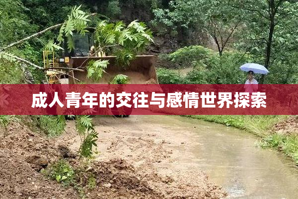 成人青年的交往与感情世界探索