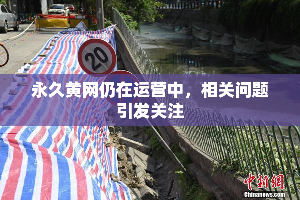 永久黄网仍在运营中，相关问题引发关注