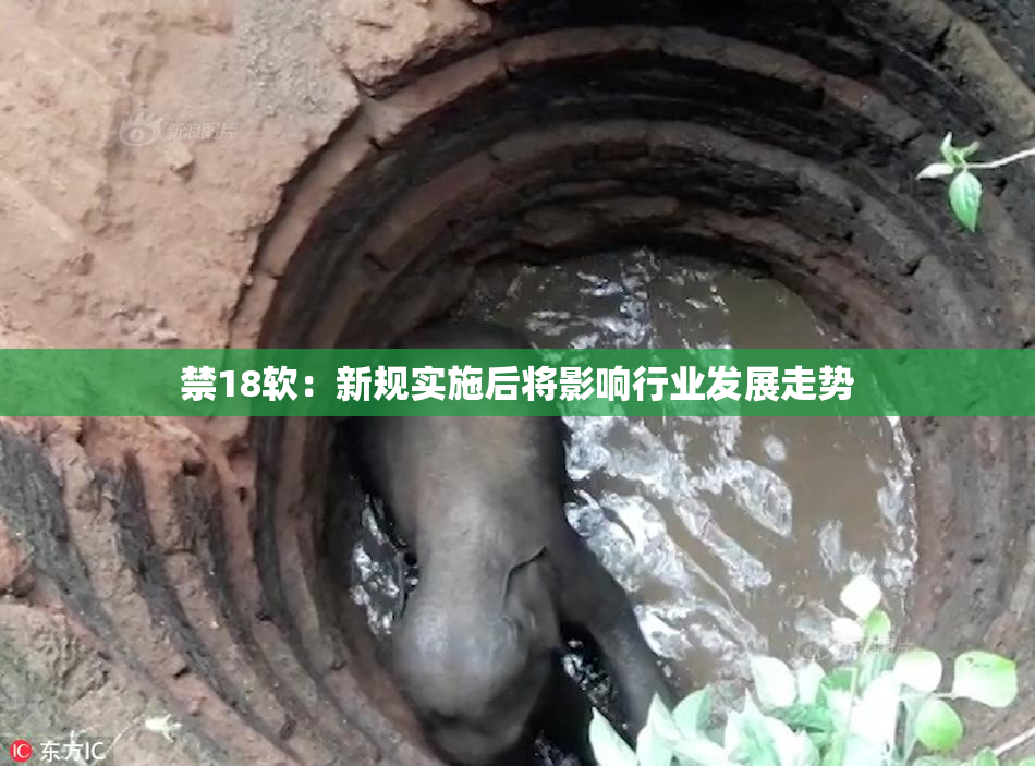 禁18软：新规实施后将影响行业发展走势