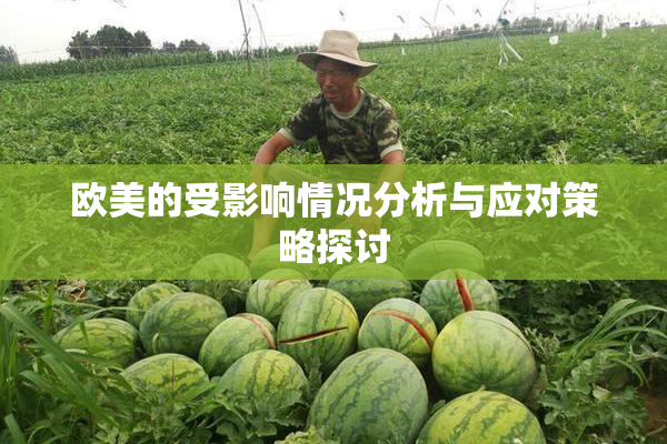 欧美的受影响情况分析与应对策略探讨