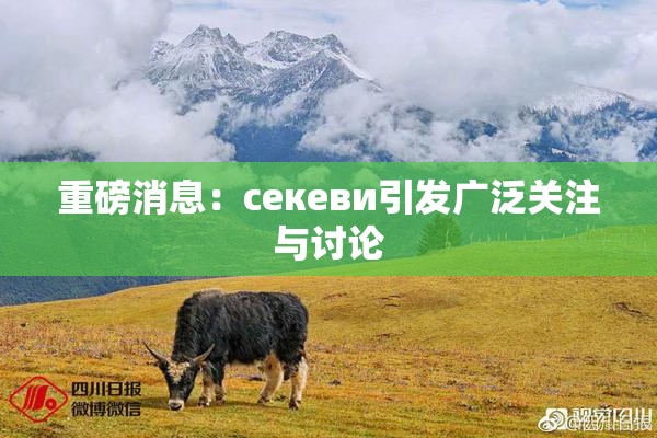重磅消息：ceкеви引发广泛关注与讨论