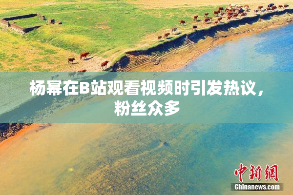 杨幂在B站观看视频时引发热议，粉丝众多