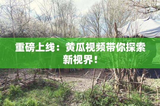 重磅上线：黄瓜视频带你探索新视界！