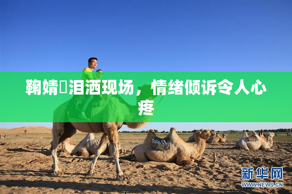 鞠婧祎泪洒现场，情绪倾诉令人心疼