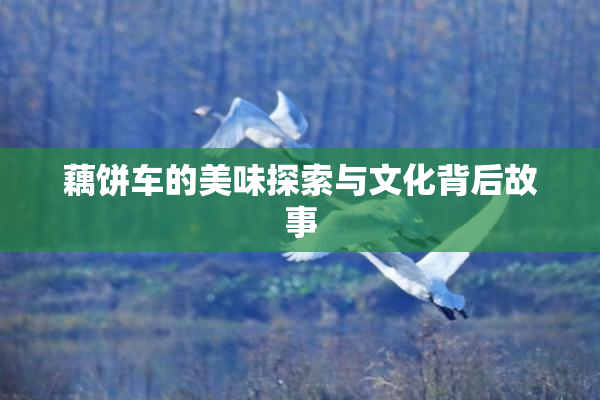 藕饼车的美味探索与文化背后故事