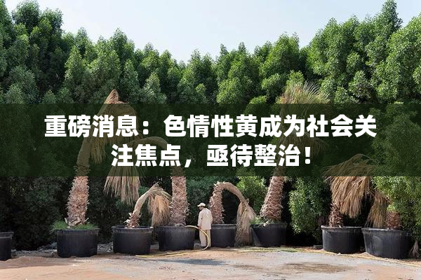 重磅消息：色情性黄成为社会关注焦点，亟待整治！