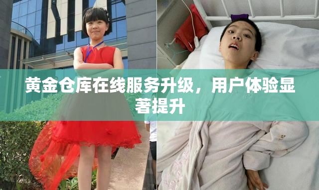 黄金仓库在线服务升级，用户体验显著提升