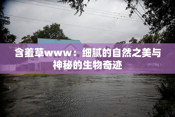 含羞草www：细腻的自然之美与神秘的生物奇迹