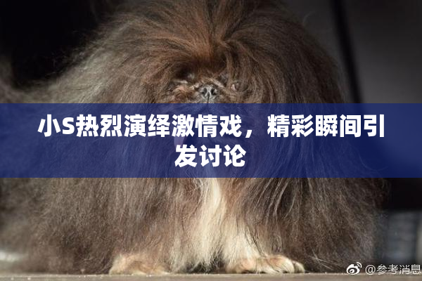 小S热烈演绎激情戏，精彩瞬间引发讨论