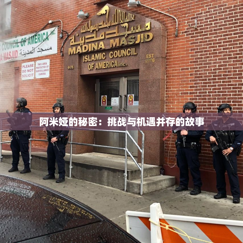 阿米娅的秘密：挑战与机遇并存的故事