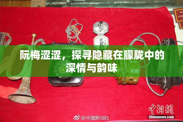 阮梅涩涩，探寻隐藏在朦胧中的深情与韵味