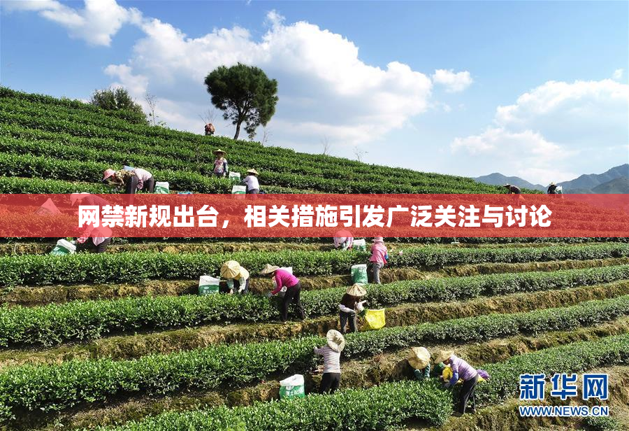 网禁新规出台，相关措施引发广泛关注与讨论