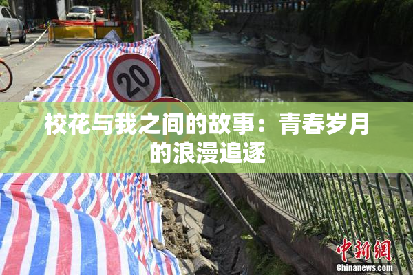 校花与我之间的故事：青春岁月的浪漫追逐