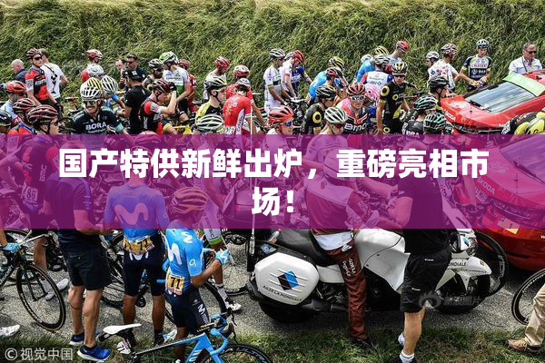 国产特供新鲜出炉，重磅亮相市场！