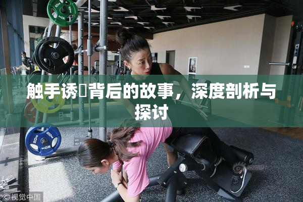 触手诱奷背后的故事，深度剖析与探讨