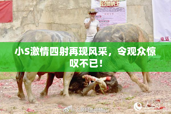 小S激情四射再现风采，令观众惊叹不已！