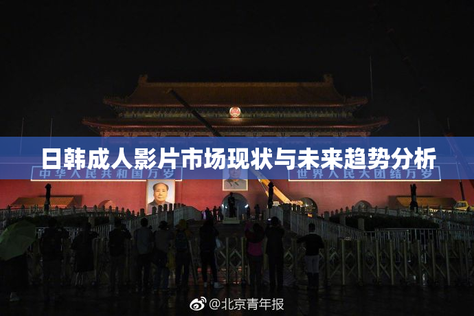 日韩成人影片市场现状与未来趋势分析