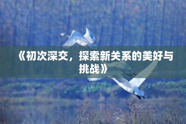 《初次深交，探索新关系的美好与挑战》
