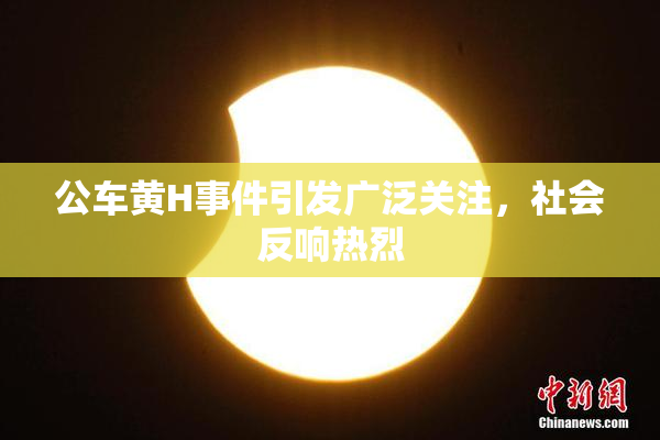 公车黄H事件引发广泛关注，社会反响热烈