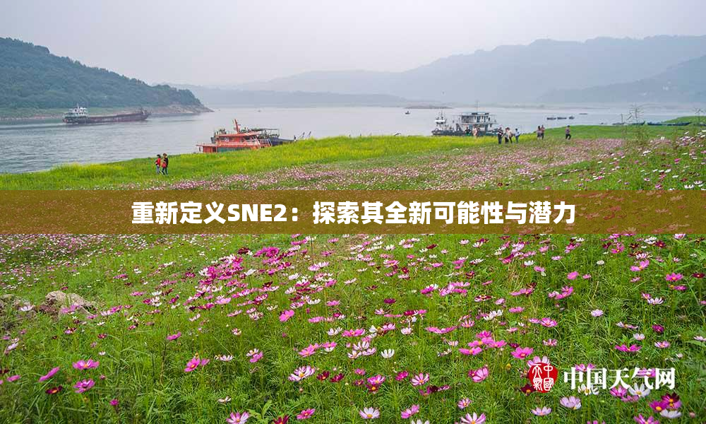 重新定义SNE2：探索其全新可能性与潜力