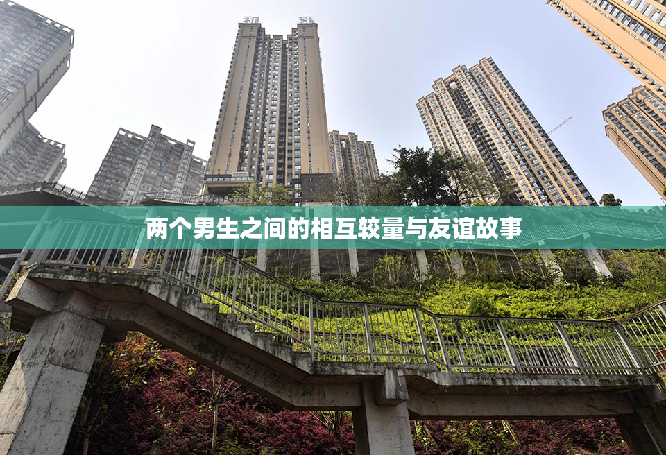 两个男生之间的相互较量与友谊故事