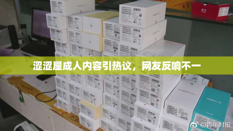 涩涩屋成人内容引热议，网友反响不一