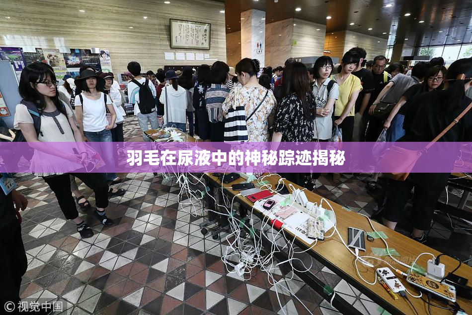 羽毛在尿液中的神秘踪迹揭秘
