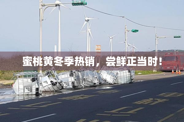 蜜桃黄冬季热销，尝鲜正当时！