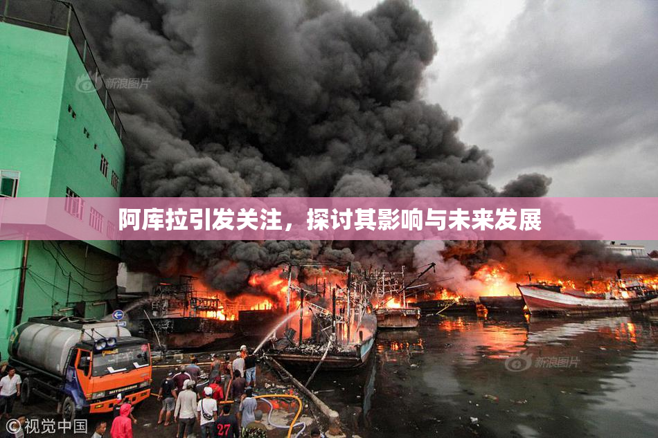 阿库拉引发关注，探讨其影响与未来发展