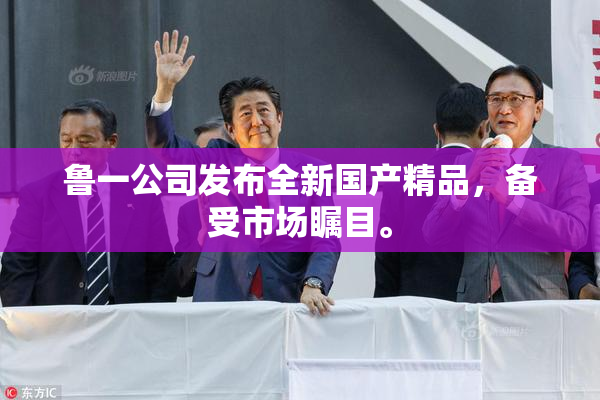 鲁一公司发布全新国产精品，备受市场瞩目。