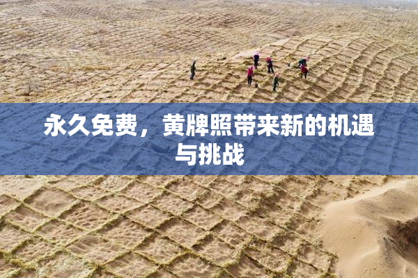 永久免费，黄牌照带来新的机遇与挑战