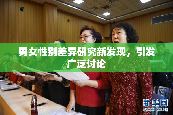 男女性别差异研究新发现，引发广泛讨论
