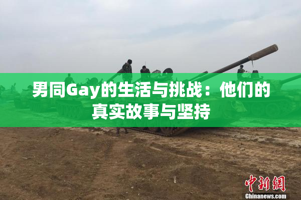 男同Gay的生活与挑战：他们的真实故事与坚持