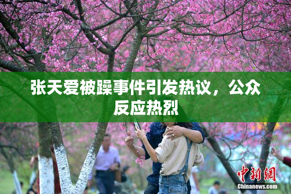 张天爱被躁事件引发热议，公众反应热烈