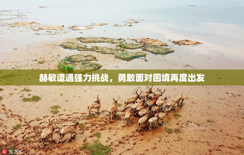 赫敏遭遇强力挑战，勇敢面对困境再度出发