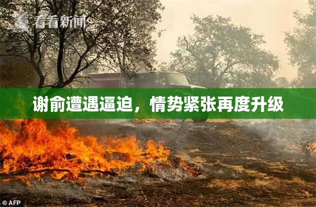谢俞遭遇逼迫，情势紧张再度升级