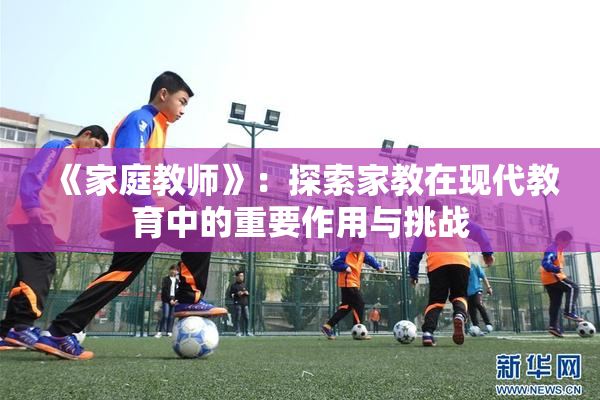 《家庭教师》：探索家教在现代教育中的重要作用与挑战