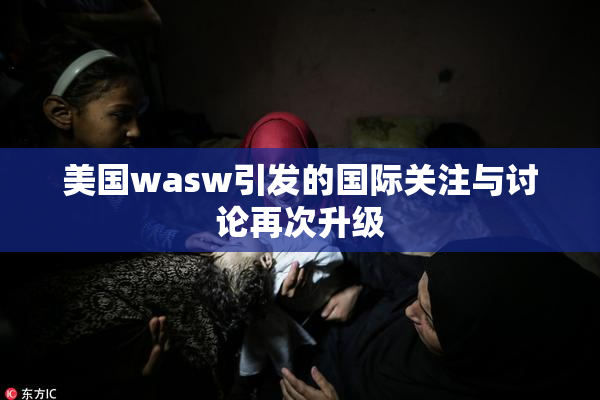 美国wasw引发的国际关注与讨论再次升级