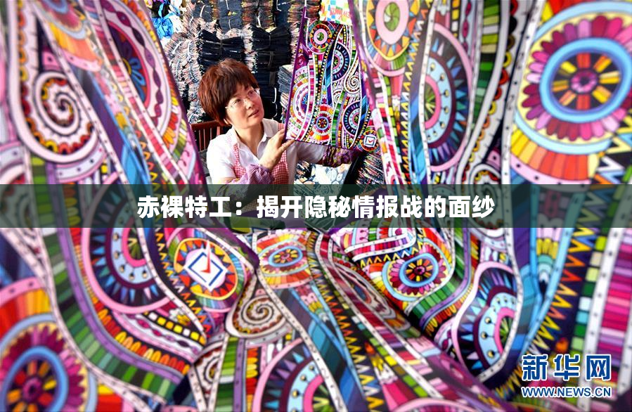 赤裸特工：揭开隐秘情报战的面纱