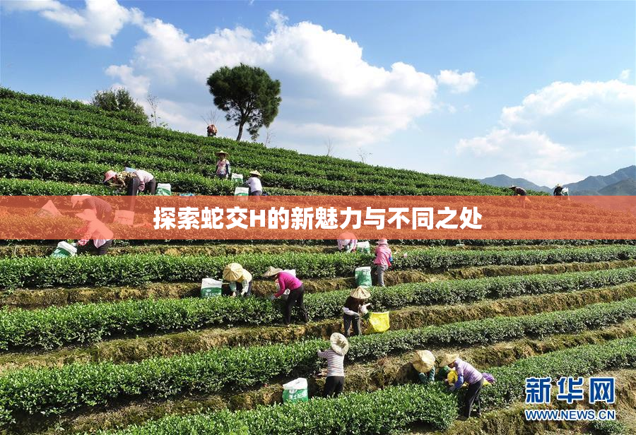探索蛇交H的新魅力与不同之处