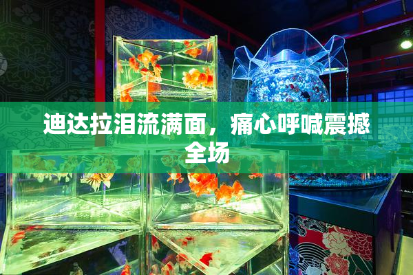 迪达拉泪流满面，痛心呼喊震撼全场
