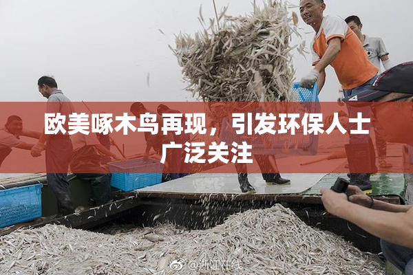 欧美啄木鸟再现，引发环保人士广泛关注