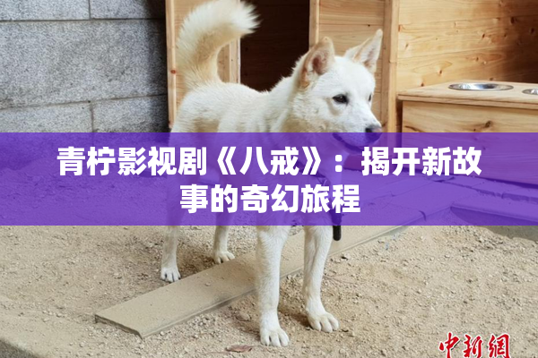 青柠影视剧《八戒》：揭开新故事的奇幻旅程