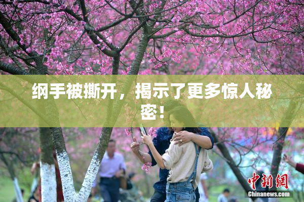 纲手被撕开，揭示了更多惊人秘密！