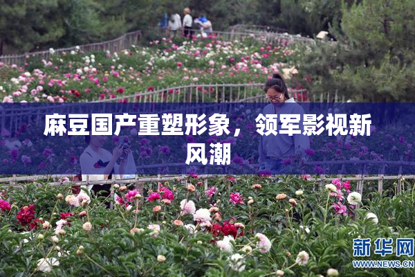 麻豆国产重塑形象，领军影视新风潮