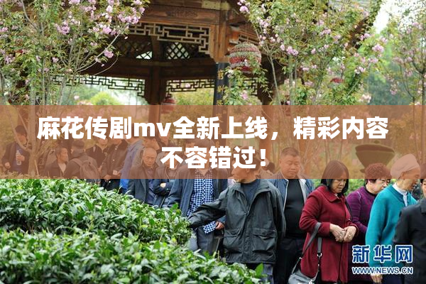麻花传剧mv全新上线，精彩内容不容错过！
