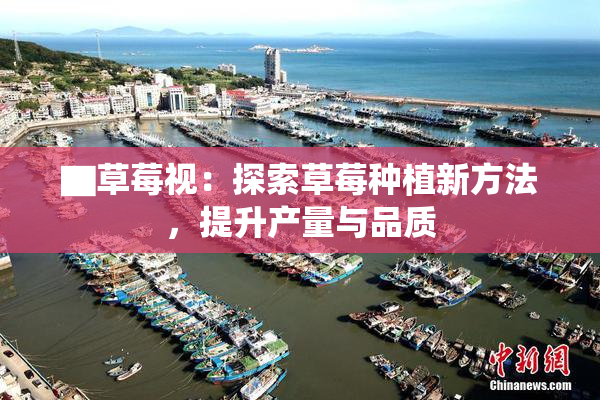 ▇草莓视：探索草莓种植新方法，提升产量与品质