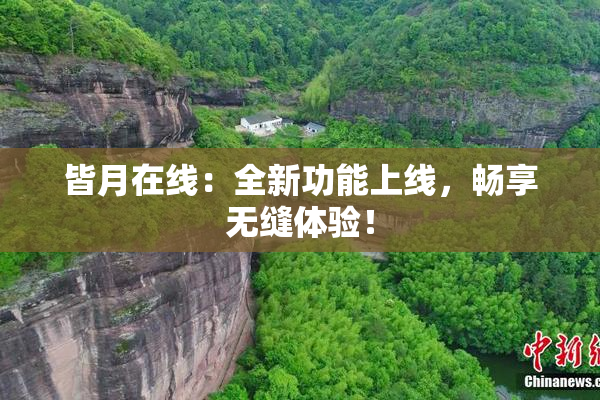 皆月在线：全新功能上线，畅享无缝体验！