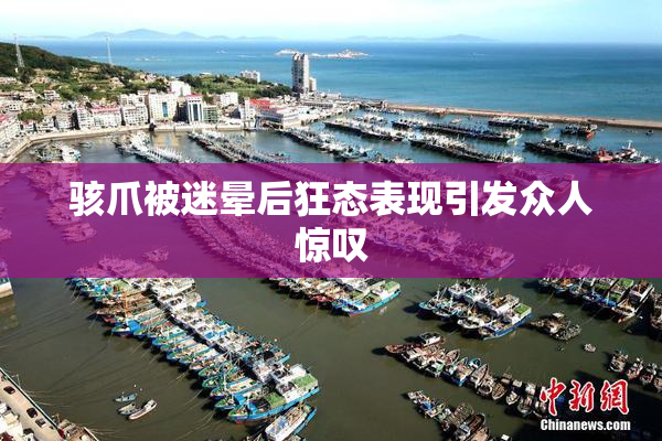 骇爪被迷晕后狂态表现引发众人惊叹