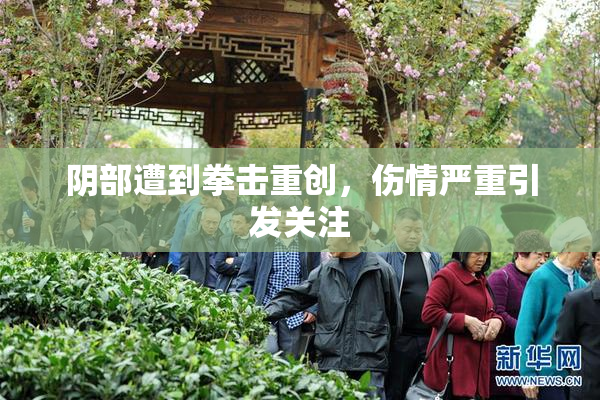 阴部遭到拳击重创，伤情严重引发关注